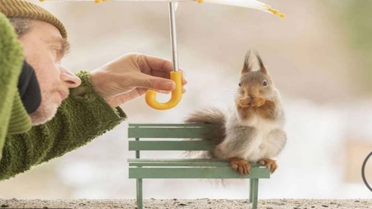 Crea un día de campo para sus ardillas ¡Aquí las fotos!