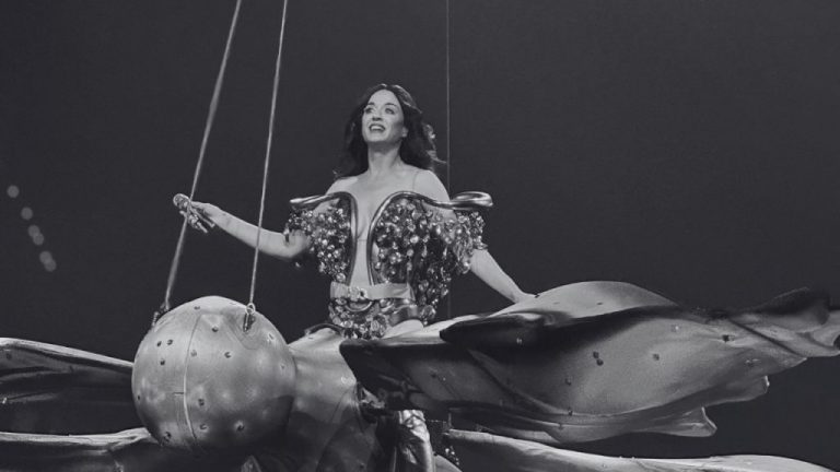Fan mexicano se disculpa con Katy Perry en concierto