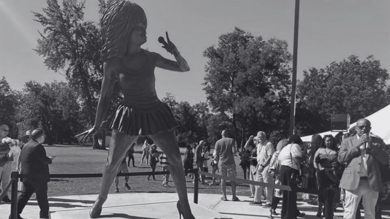 Desde su inauguración, la estatua ha recibido fuertes críticas en redes sociales y entre fans de Tina Turner.